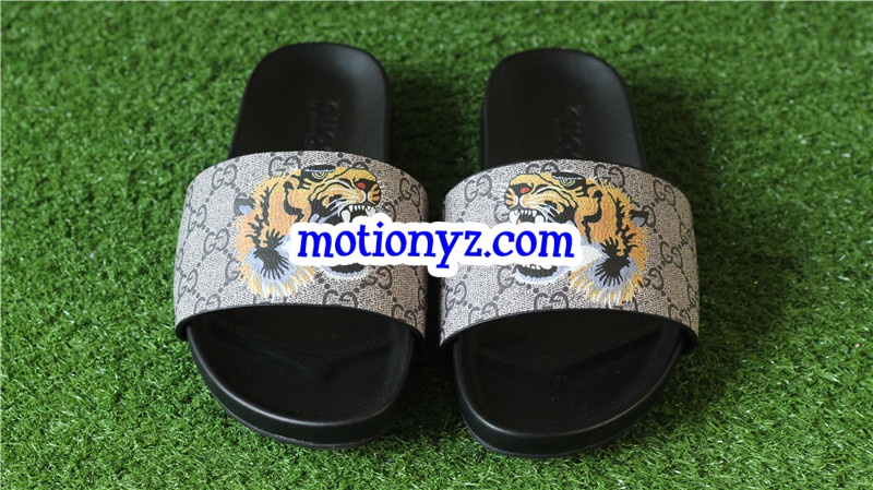 GC Slipper Tiger